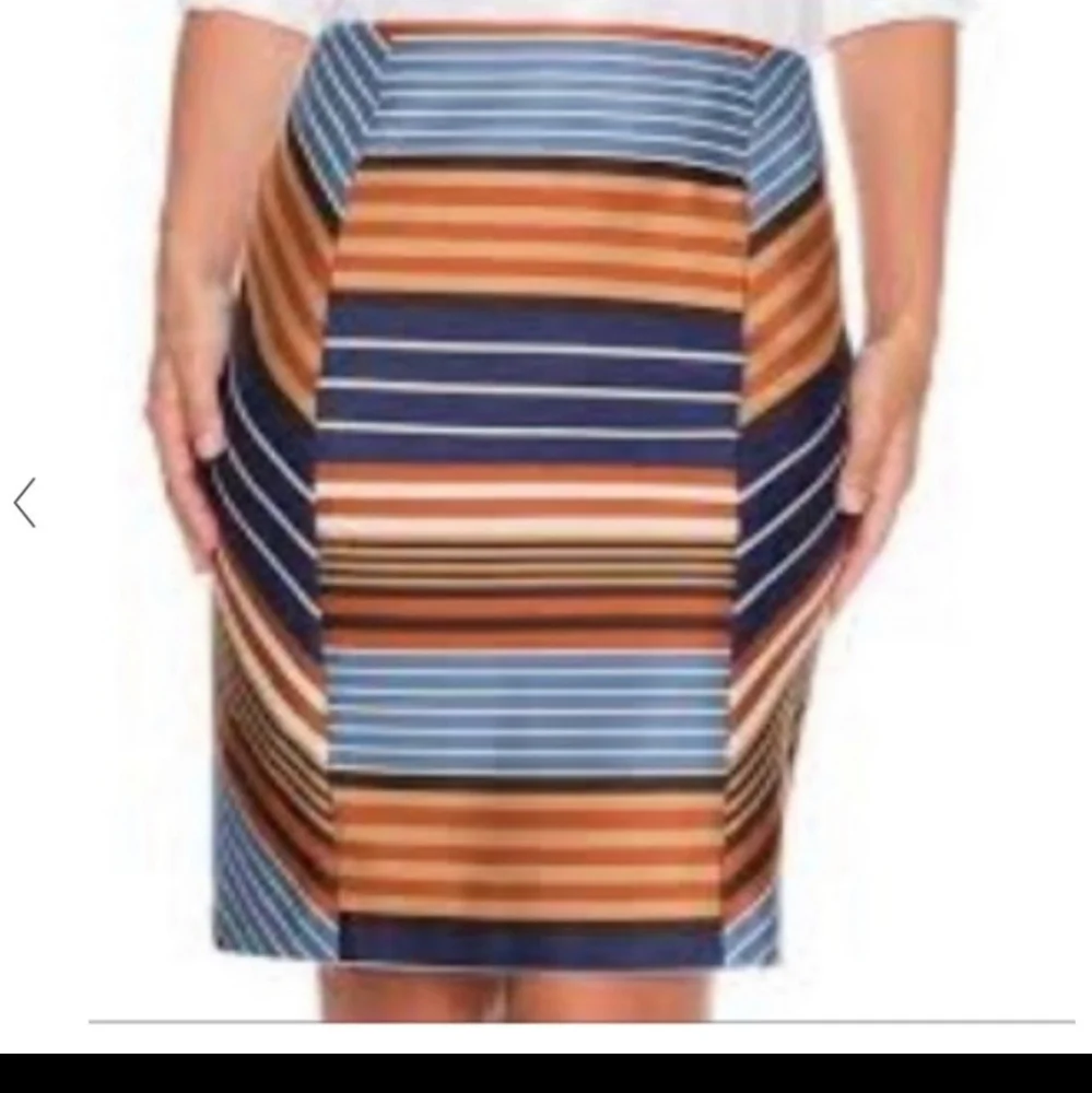 J. McLaughlin STRIPED Skirt Patterned Color Block - Picture 1 of 3